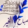 user87081561516741