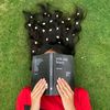 sithmi_inwattpad