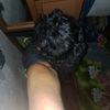 ilove_you2660