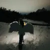 gagarjysj2d