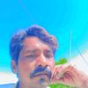 user429208355