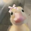 doduymanh__1