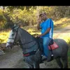 user731696611269