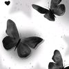 sheis_fathia3