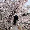 kpop6190