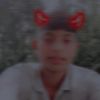 mehedi.vai345