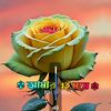 cute.pagli9826