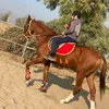 mustafa_2011m