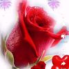 hevin5385