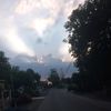 nafisa.488