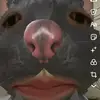 bidzai_33