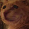 amogus4176