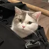 flckchenliebe