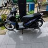 dholpine20