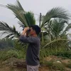 ngoctu.id84