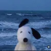 mtrangyt_08
