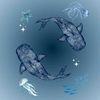 mayar.wael79