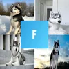 kerombit_rafa_box