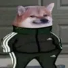 _skiq_