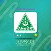 Media Ansor Bojonegoro