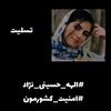narges.abdolvand