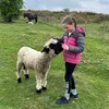 katys_alt_account