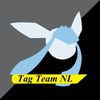 tag.team.nl