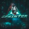 sprinter497