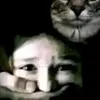 imlang.cobe