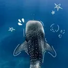 ocean.shell0