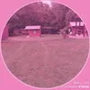 domeckonec