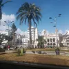 akoaff7