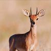 507id15