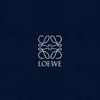 loewe_iq