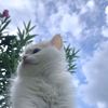 7_g__12