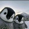 aya.natsheh2