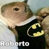 ro_lu_cz