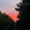 elz_onmars_0