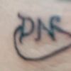 userdnpl1973