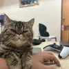 sleepymika14