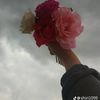 user5204175775848