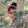 sshlerjan