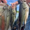 bassin432