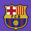 iba.one203
