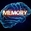 memory_ahy
