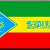 jimma.lij43