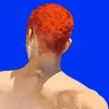 hpedtg