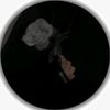 user18733537200638