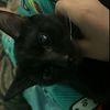 genny_penny44