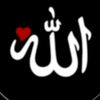 user4817585494609